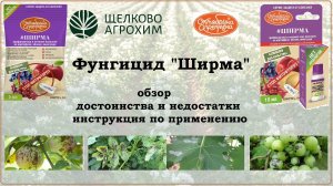 Ширма - обзор нового фунгицида