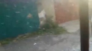 Обзор автомобиля УАЗ "Фермер"