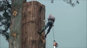 5 САМЫХ ОПАСНЫХ ПРОФЕССИЙ В МИРЕ