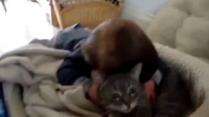 ДОБРЫЙ ТРОГАТЕЛЬНЫЙ РОЛИК...