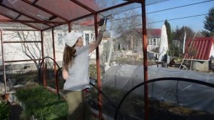 Чем обработать теплицу и как подготовить теплицу