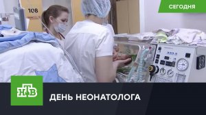 День неонатолога: как самые особые врачи борются за жизни младенцев