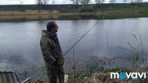 Ловля густеры на фидер