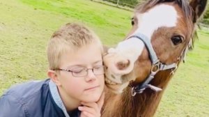 ПРИКОЛЫ С ЛОШАДЬМИ-ШТА!!!FUNNY HORSES-СМЕШНЫЕ ЛОШАДИ-JOKES WITH HORSES/Cute moments of the horses