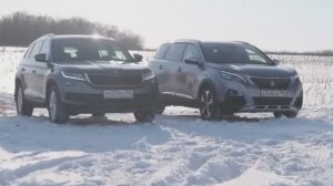 Peugeot 5008 против Skoda KODIAQ В Быту и На Бездорожье
