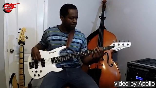 История гитар Peavey