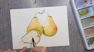 Как нарисовать грушу акварелью. Груша Williams. Рисунок акварелью. Скетчинг для новичков.