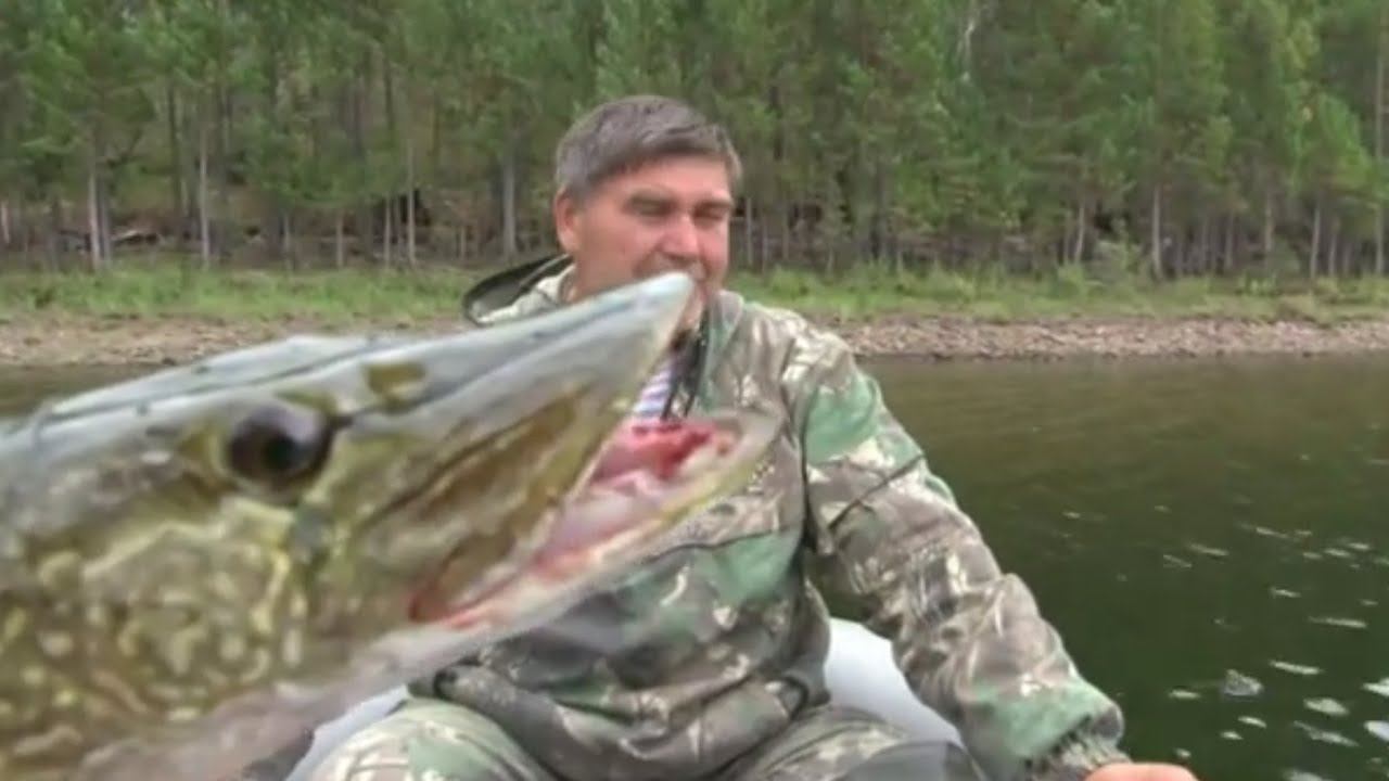 Щука таежного озера. Озеро Сиговое, Тува.