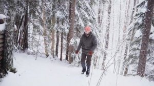 Зимний Бушкрафт по-русски #2 Свой лесной лагерь. Как выбрать стоянку.