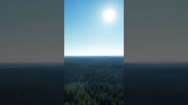 ЗАГОННАЯ ОХОТА НА ЛОСЯ / ОБЗОР ТЕПЛОВИЗОРА iRAY SAIM SCT 35 V2 / ОДИН ИЗ ЛУЧШИХ ПРИЦЕЛОВ 2020-2021г смотреть онлайн