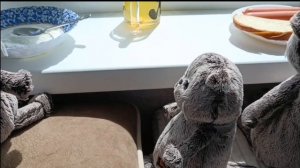 Моё утро с басиками! ВЛОГ! #утросбасиками