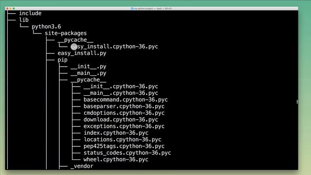 Installing Python Packages with pip and virtualenv / venv смотреть онлайн