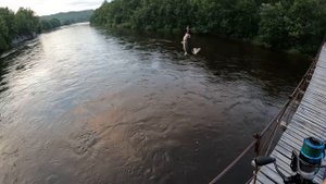 РАДУЖНАЯ ФОРЕЛЬ В ВЕРХОВЬЯХ РЕКИ