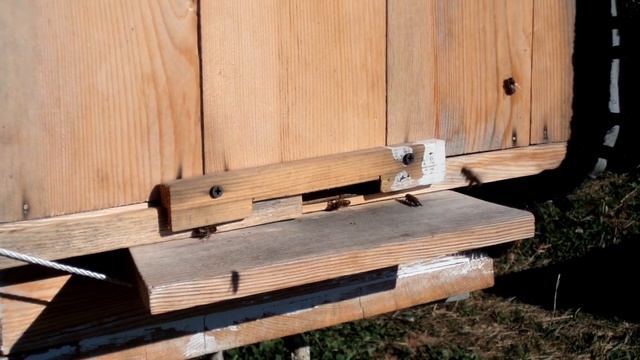 Поселение Родовых Поместий "Добрыня"