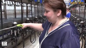 Черкутино