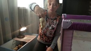 определение пола цыплят