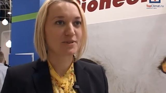 Юнайтед элементс. Юнайтед элементс