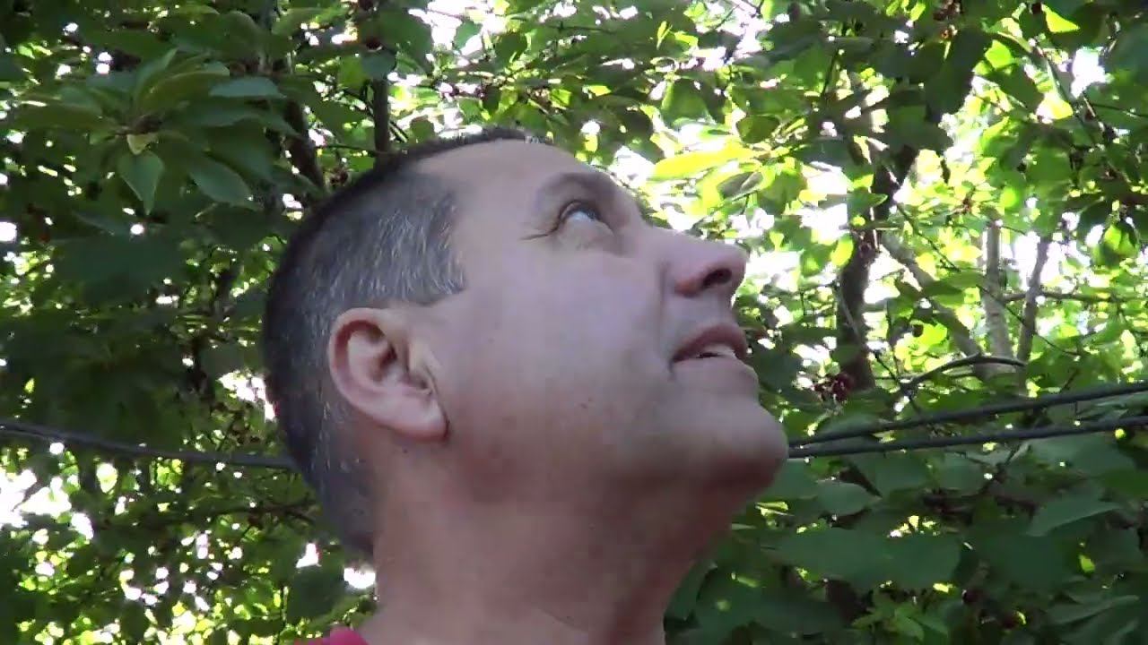 ИХ МИЛЛИОНЫ / БЕГАЮТ ГДЕ ПОПАЛО / НЕМНОГО О ГРУСТНОМ смотреть онлайн