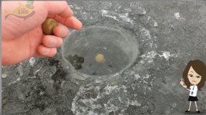 Бросьте это в лунку и рыба со всего водоема соберется под вами! Чем приманить рыбу зимой?