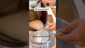 Молочный кефирный Гриб , делаем кефир