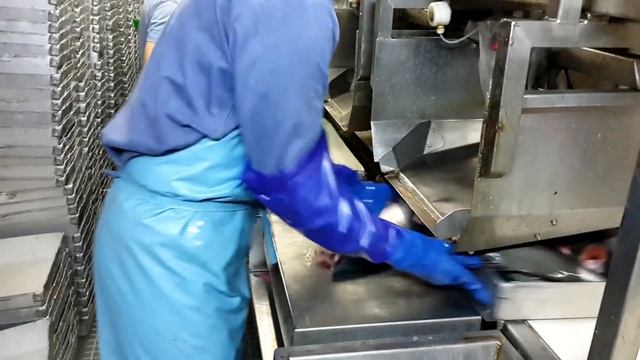 РТМК - С ВАСИЛИЙ КАЛЕНОВ / РАБОТА НА ФАБРИКЕ / ПРИЕМКА ГОРБУШИ / смотреть онлайн