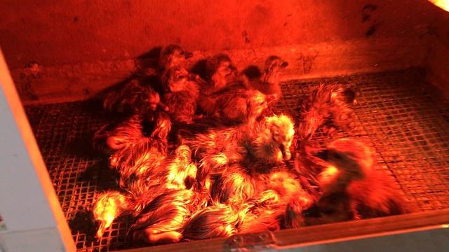 19-05-2023 смотреть онлайн