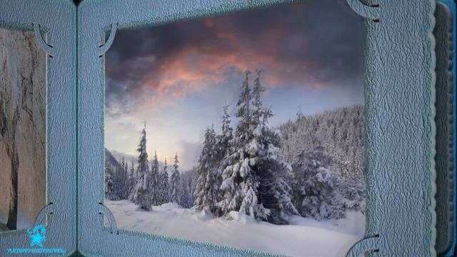 Зимний лес фото альбом смотреть онлайн