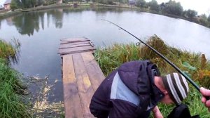 Щука и окунь на спиннинг в сентябре