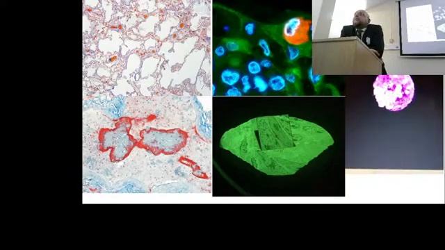 Памяти профессора Олега Алексеевича Смирнова смотреть онлайн