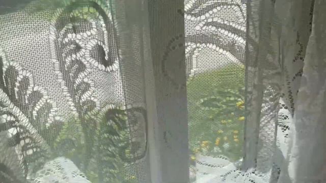 ПЕРВЫЙ ДАЧНЫЙ ВЛОГ / МОТИВАЦИЯ НА ОГОРОДНЫЕ ДЕЛА смотреть онлайн