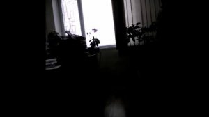 кабинет УЗИ