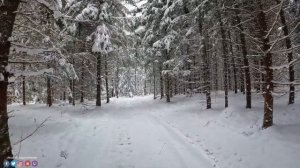 ВОССТАНОВЛЕНИЕ НЕРВНОЙ СИСТЕМЫ! Прекрасная мелодия, доводящая до слез! Самая красивая мелодия в мир