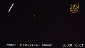 Р2033 Жемчужный блеск 1,2 х 8 зарядов