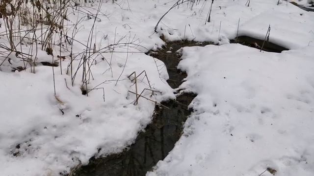 Синюшкин колодец существует. Мы нашли его на Урале в Свердловской области смотреть онлайн