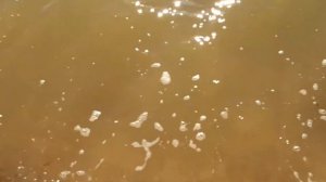 Пляж Коралл на Должанской Косе