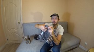 Одежда для моих собак. Собака не хочет гулять в одежде. Французский бульдог, амстафф, йорк.