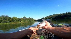 ЭТА ПРИМАНКА ДАЖЕ В ЖАРУ ПРОДОЛЖАЕТ ЛОВИТЬ СУДАКА, ЛОВЛЯ СУДАКА НА СПИННИНГ В АВГУСТЕ 2022