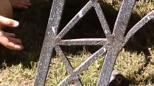 Маленький птенчик выпал из гнезда  Птенцы в гнезде видео  Спасение птенцов  Видео про птенцов