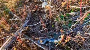 ГИДРОКВАДРОЦИКЛ | Whistlin Diesel на русском