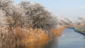 Ralph Vaughan Williams : In the Fen Country. Photographs.