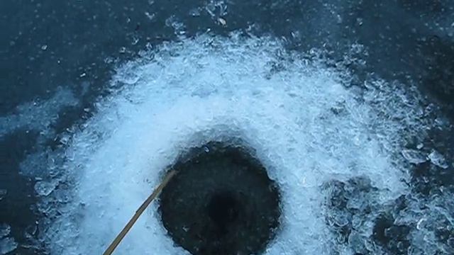 MVI 1353 смотреть онлайн