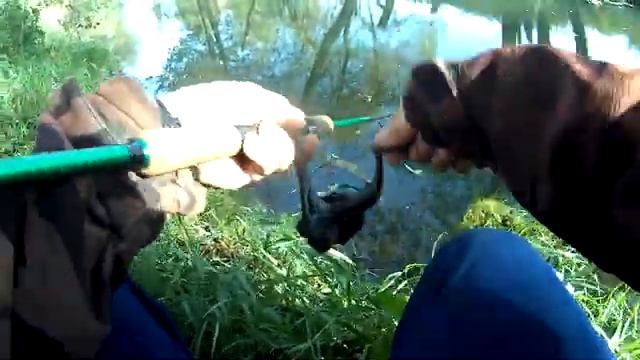 Ловля щуки на микро речке. НЕ ОЖИДАЛ ТАКОГО КЛЁВА! #щука #на #воблер смотреть онлайн