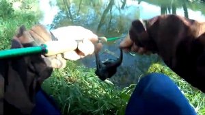 Ловля щуки на микро речке. НЕ ОЖИДАЛ ТАКОГО КЛЁВА! #щука #на #воблер