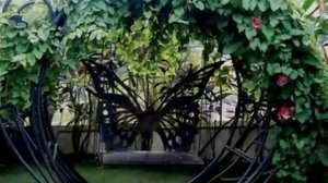 Краткая экскурсия по острову Пенанг (Малайзия) - Penang island