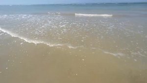 Рыбалка в июле на Каспий