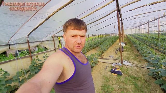 Тепличные будни:ПЕРВЫЕ ОГУРЧИКИ.Модернизация бассейна для полива. смотреть онлайн