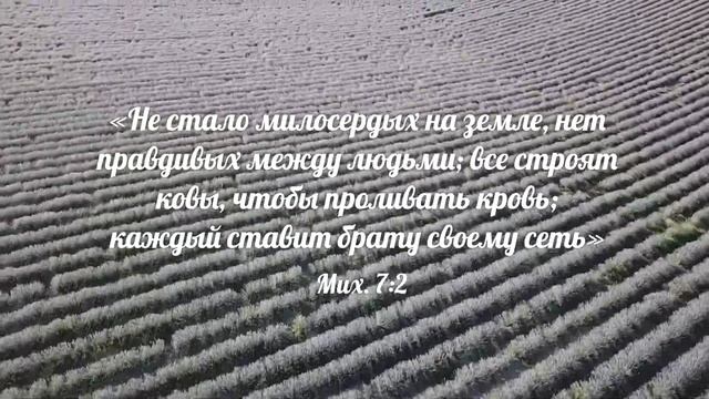 Божий и Лавандовый Мир | ? НЕВЕРОЯТНЫЕ Лавандовые поля ? | #Крым | Тургеневка