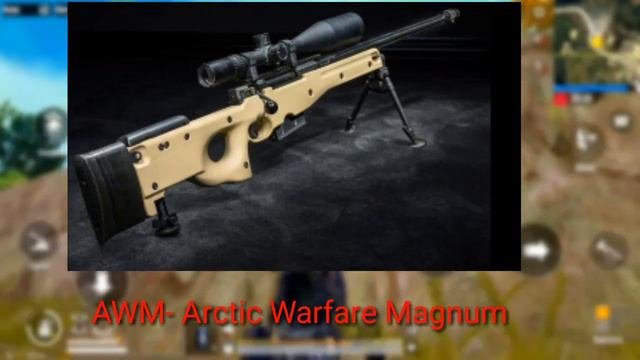 В чём отличие AWM от AWP? АВМ против АВП. Как правильно говорить AWM или AWP?