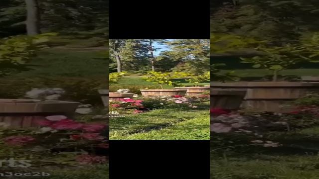 Монрепо город Выборг смотреть онлайн