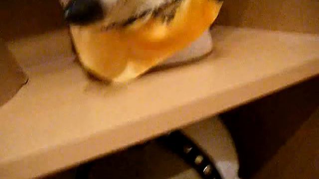 Slipknot Signed Jim Root Self Titled Jester Mask & Chris Fehn AHIG Mask смотреть онлайн